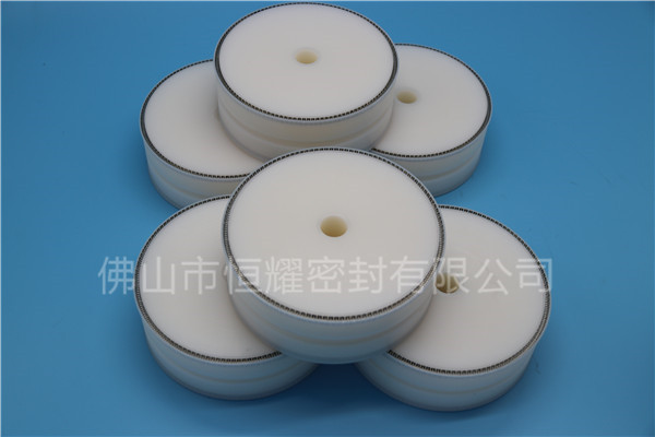 食品機械密封件 (65)