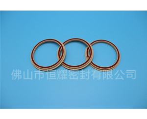 食品機(jī)械密封件 (24)