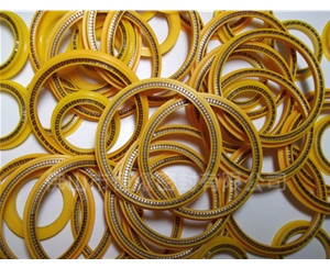 HOD、HVD旋轉(zhuǎn)泛塞封 (5)