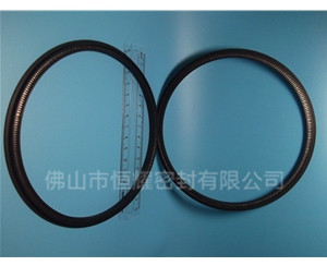 HOD、HVD旋轉(zhuǎn)泛塞封 (13)